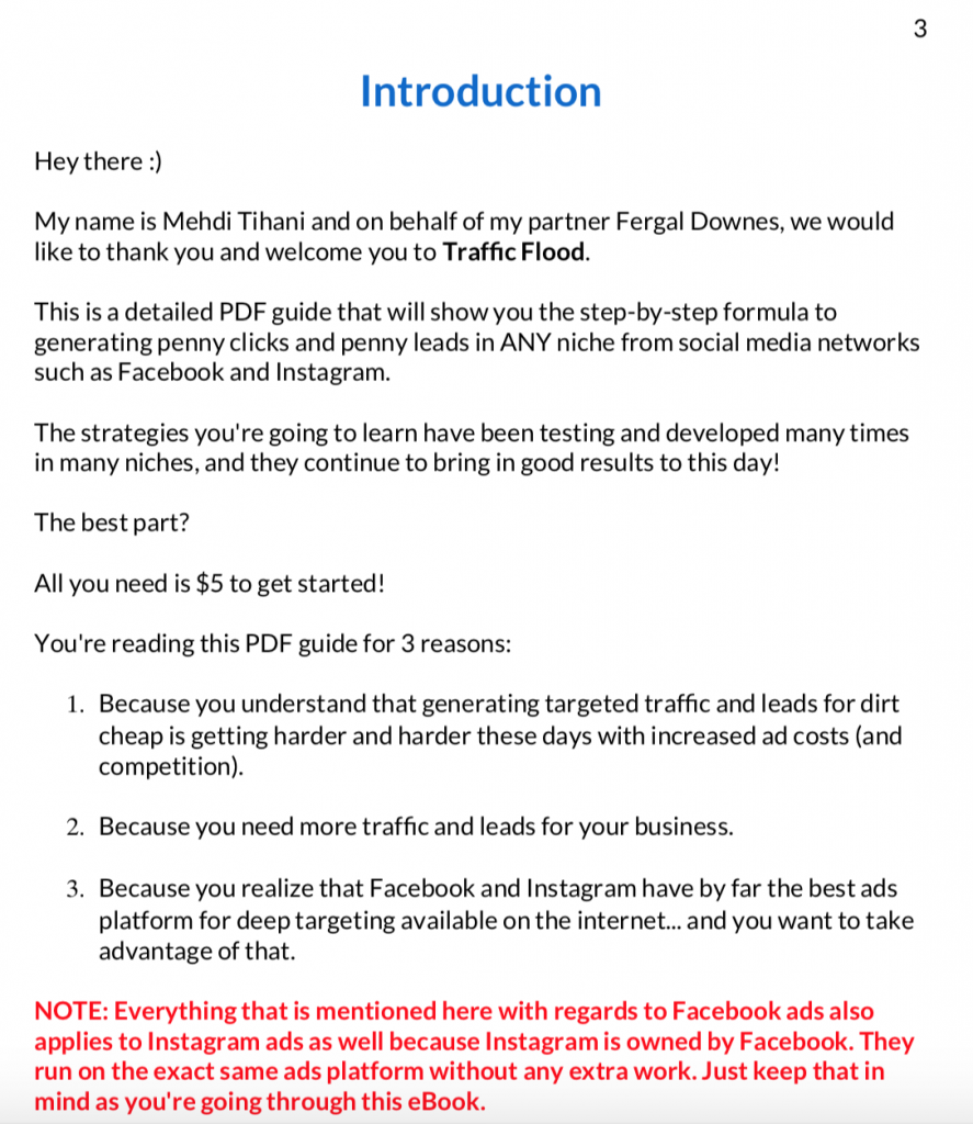 Traffic Flood review
